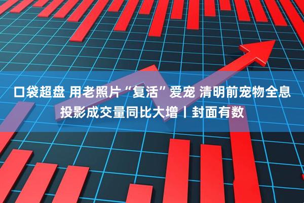 口袋超盘 用老照片“复活”爱宠 清明前宠物全息投影成交量同比大增丨封面有数