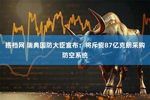 搭档网 瑞典国防大臣宣布:将斥资87亿克朗采购防空系统