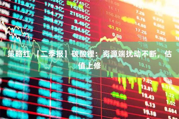策略红 【二季报】碳酸锂：资源端扰动不断，估值上修