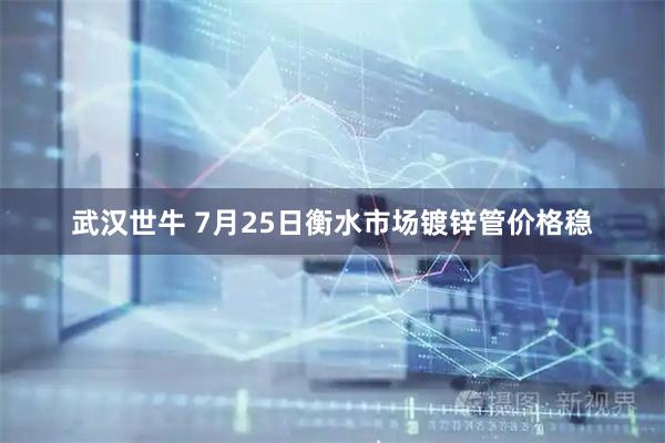 武汉世牛 7月25日衡水市场镀锌管价格稳