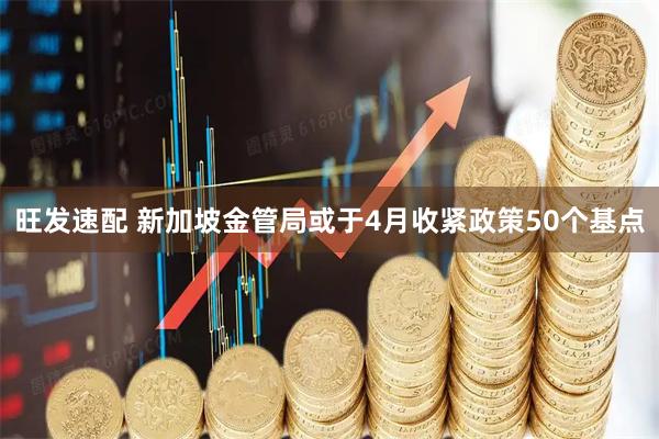 旺发速配 新加坡金管局或于4月收紧政策50个基点